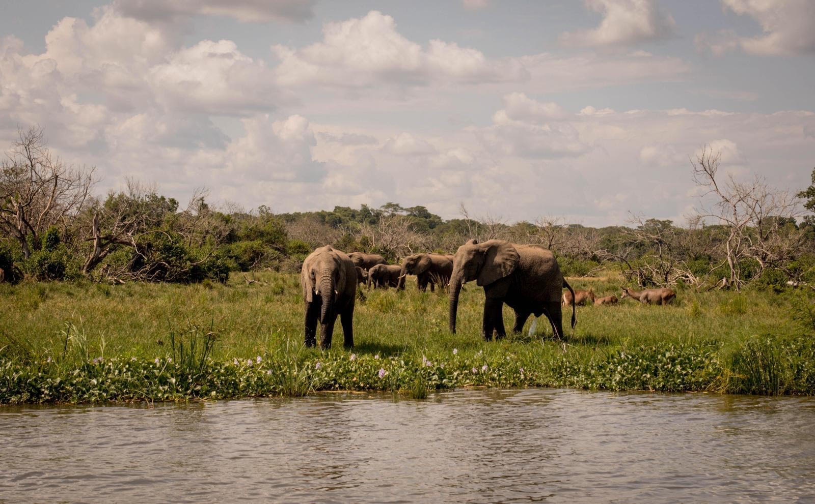 About Africa 